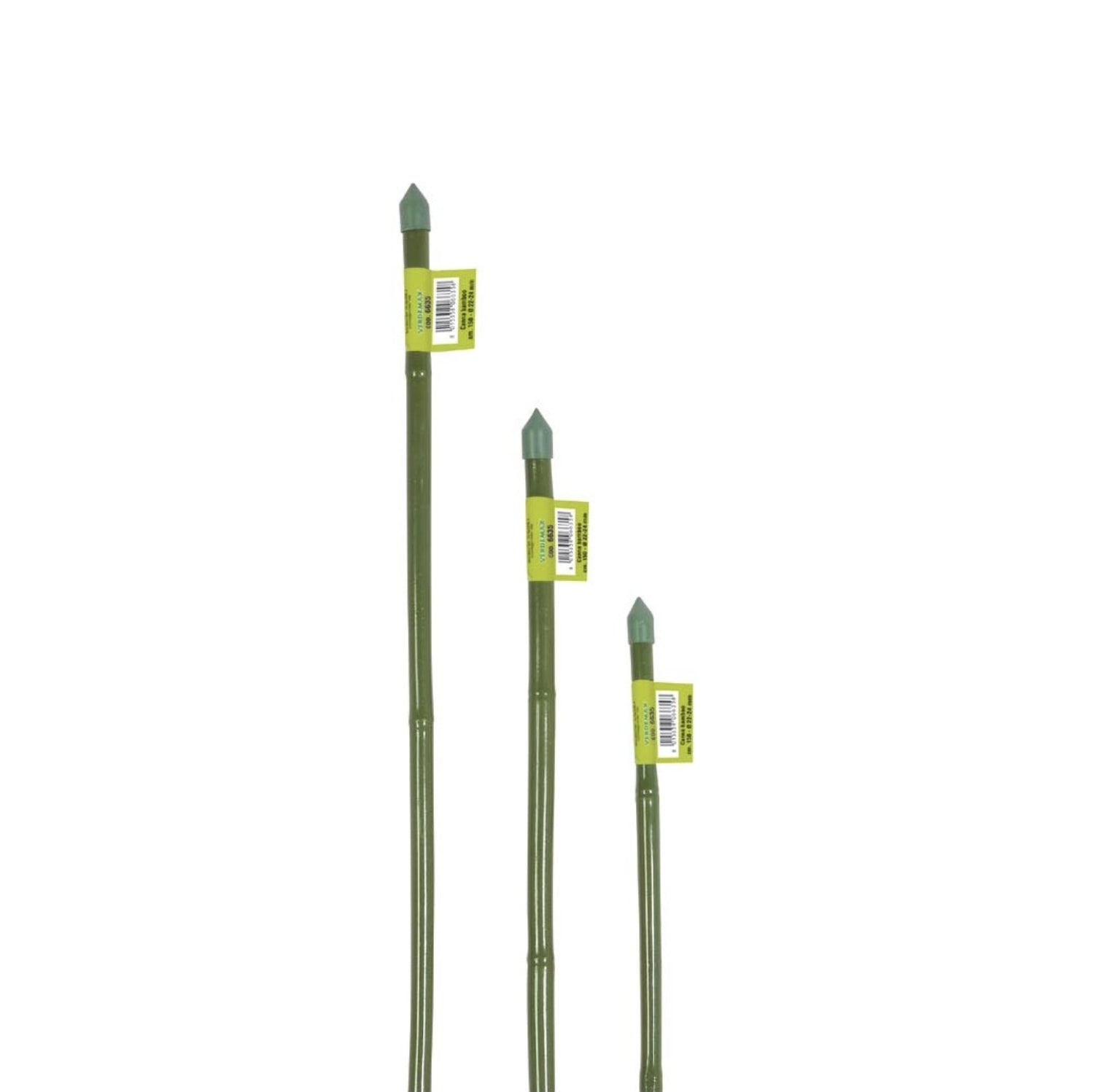 Canna bamboo plastificata