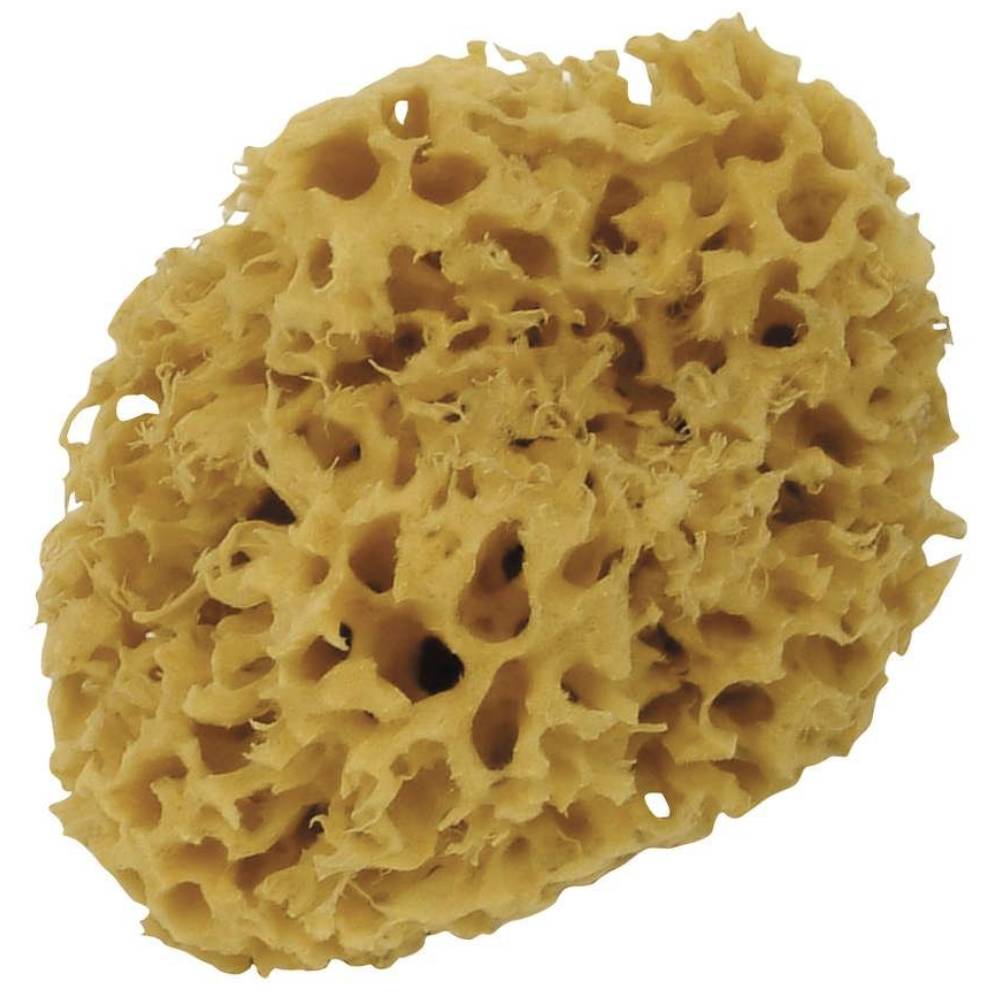 Spugna marina 140 mm