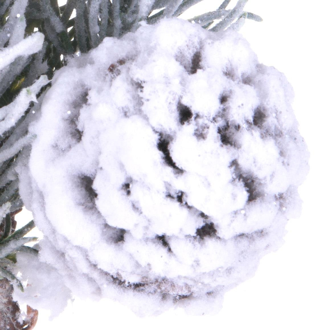 Ramo pino noble innevato 6