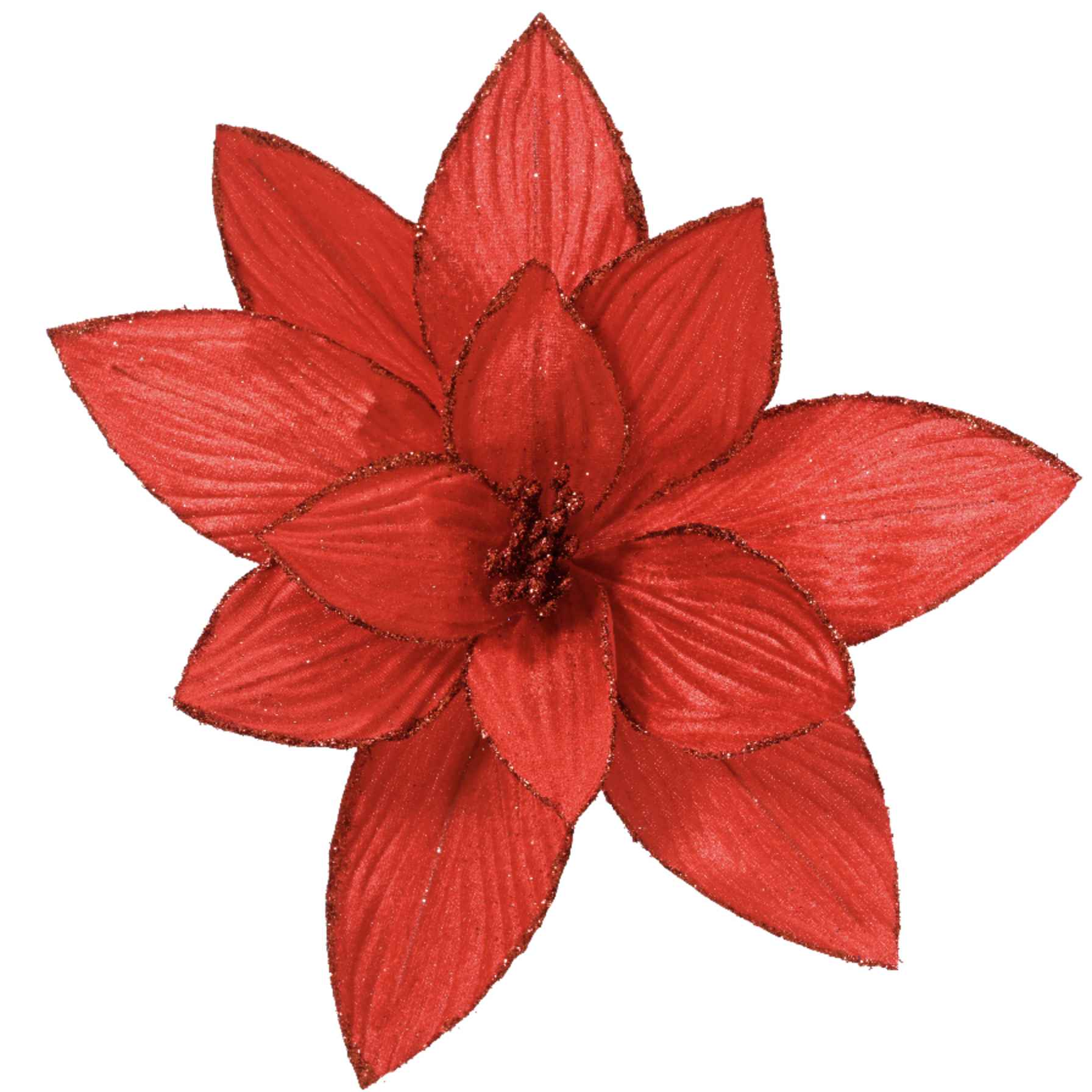 Poinsetta rossa su clip 30 cm