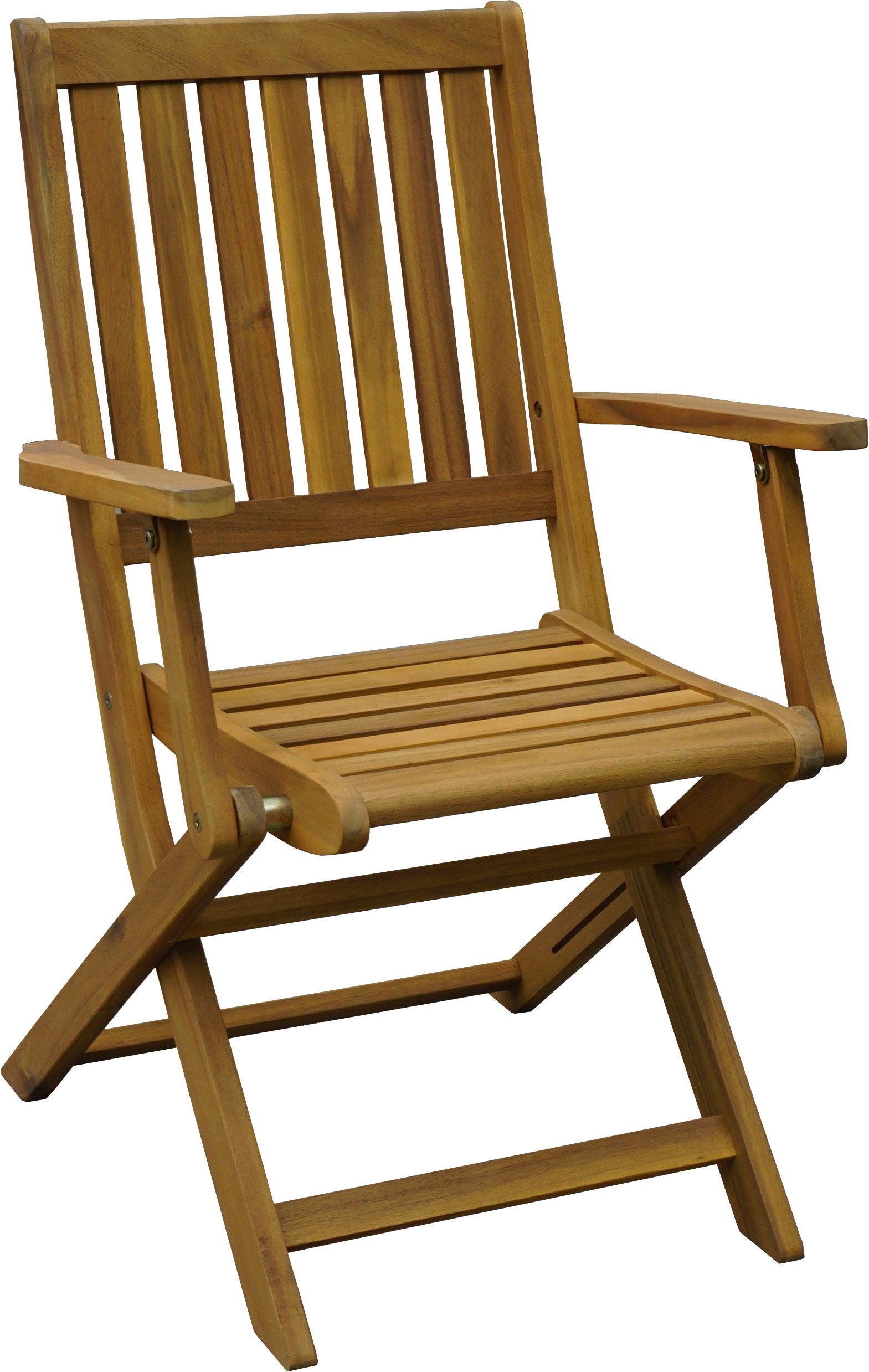 SEDIA PIEGHEVOLE CON BRACCIOLI DIMENSIONI 54X58XH.90 CM