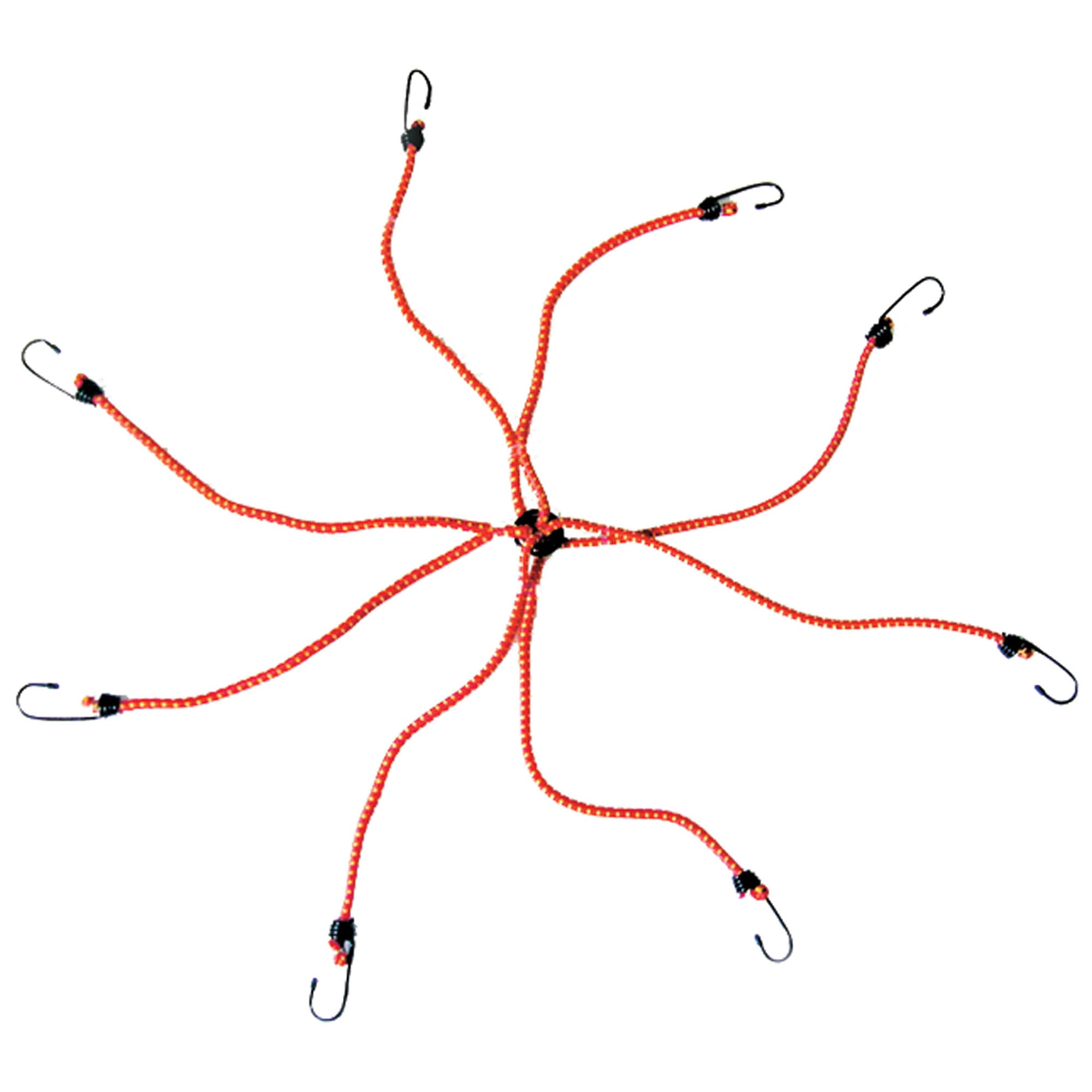 Corda elastica ragno 8 ganci