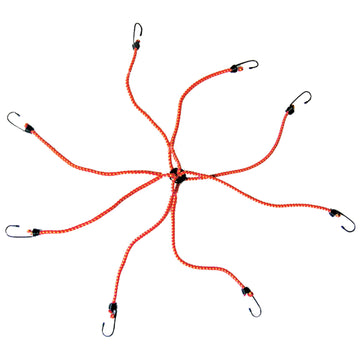 Corde elastiche e cinghie