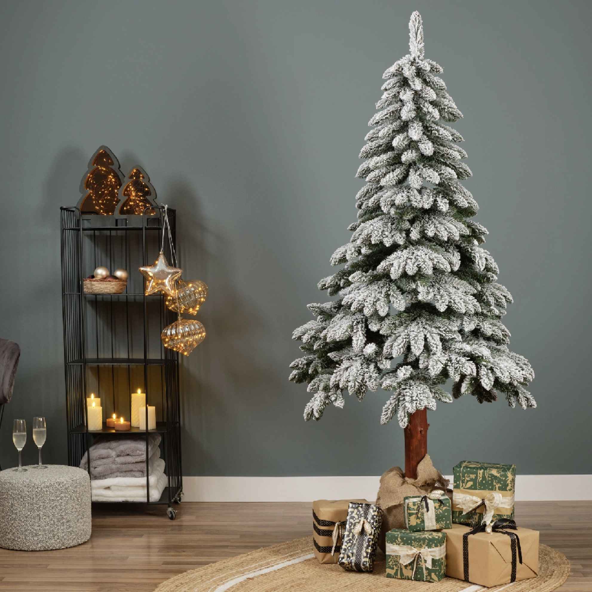 Albero Pino Tora innevato