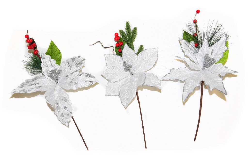 Pick stella di natale 3