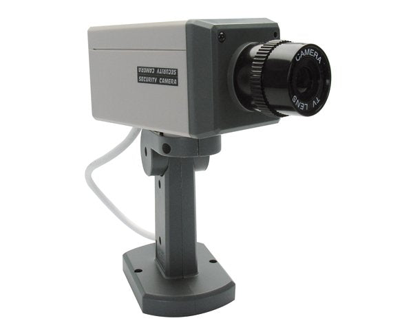Dummy telecamera finta Avidsen