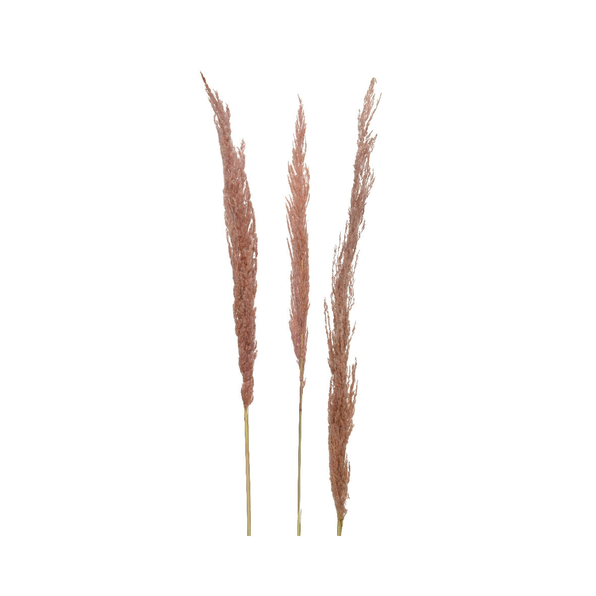 Fiore natalizio Erianthus Kaemingk rosa