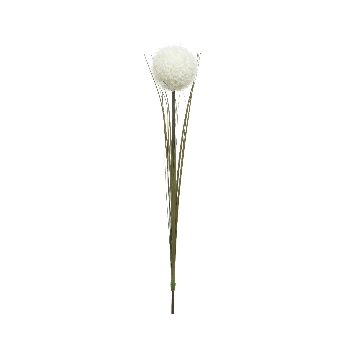 Fiore Allium 66 cm