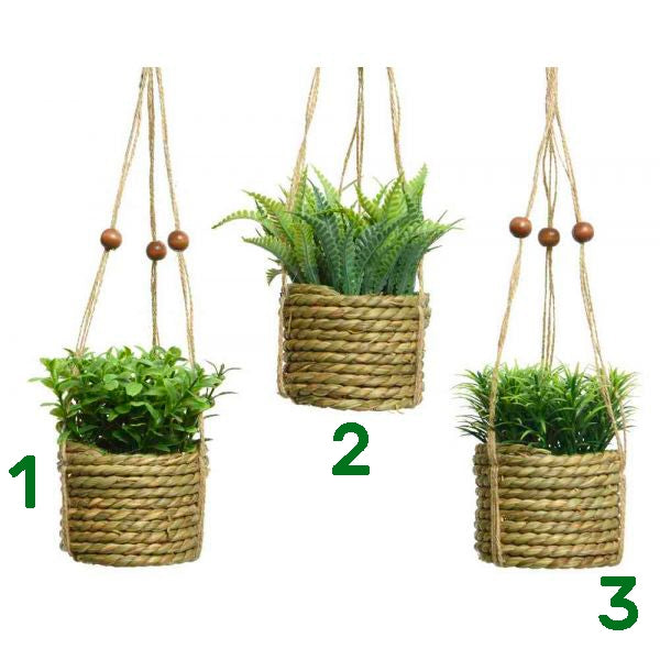 Pianta verde appendibile