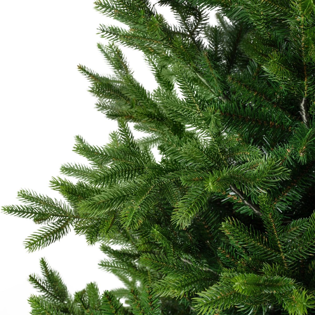 Albero di Natale Nordmann Fir Verde