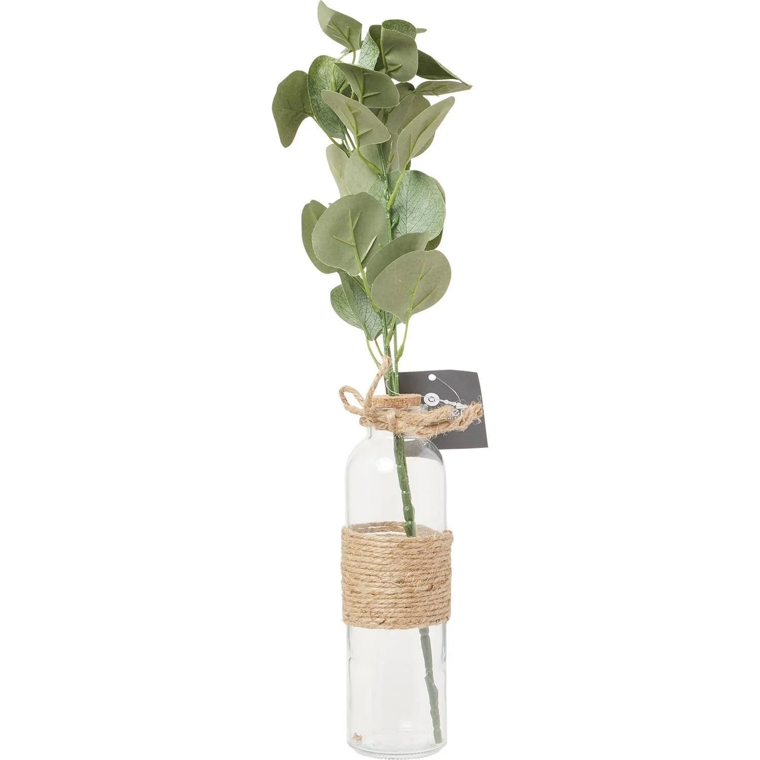 Vaso con eucalipto e corda da 45 cm