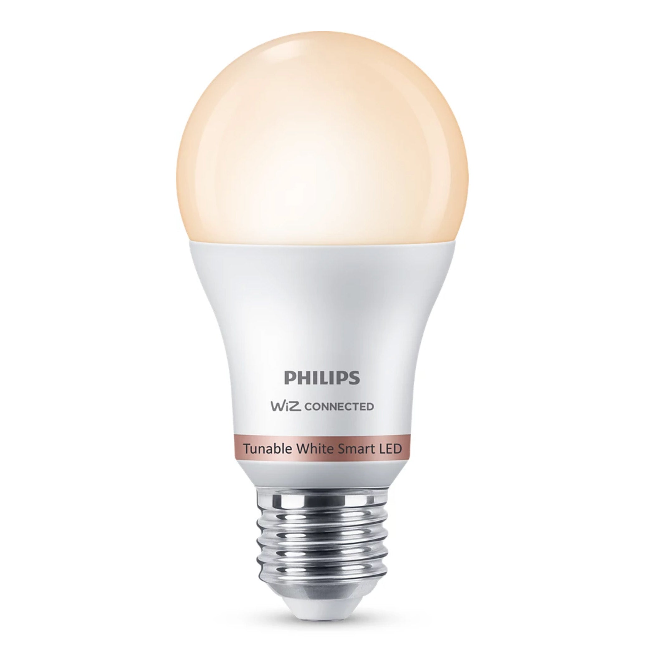 Lampadina 60W A60 E27 Philips