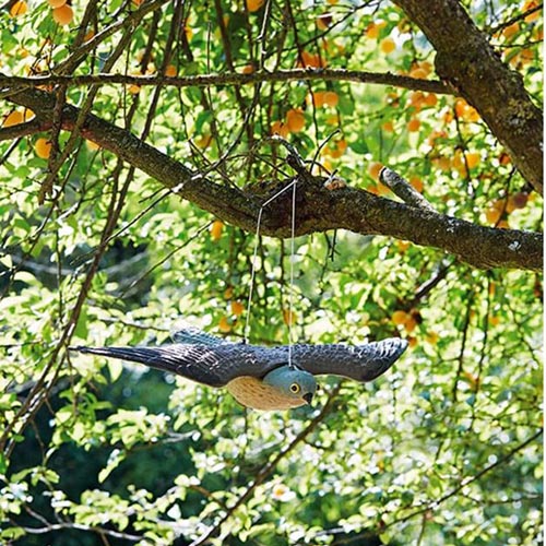 STA DISSUASORE per VOLATILI E PICCIONI Falco CM 54 : : Giardino e  giardinaggio